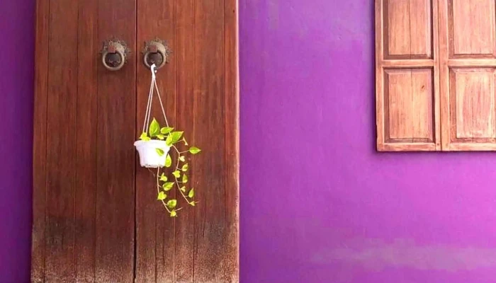 Veasy Yoga -  Berdekatan Saya - Kuala Lumpur