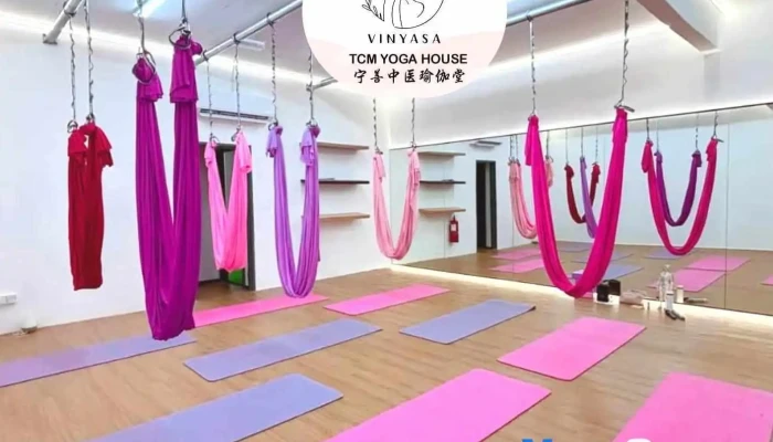 Vinyasa Tcm Yoga Zhu Shan Zhong Yi Yu Jia Batu Berendam Putra Yoga - Batu Berendam