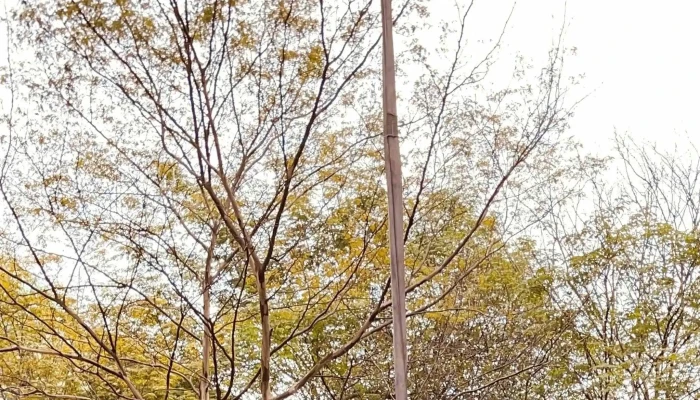 Viva Vertical Pj Midtown Foto - Petaling Jaya