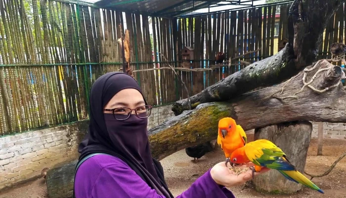 Walters Farm -  Diskaun - Segamat