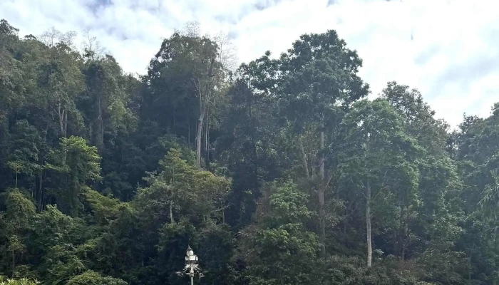 Wat Koh Wanararm -  Alamat - Langkawi