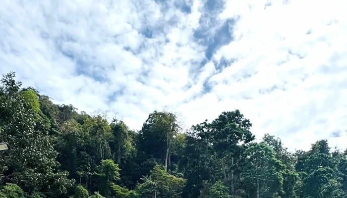 Wat Koh Wanararm -  Di Mana - Langkawi